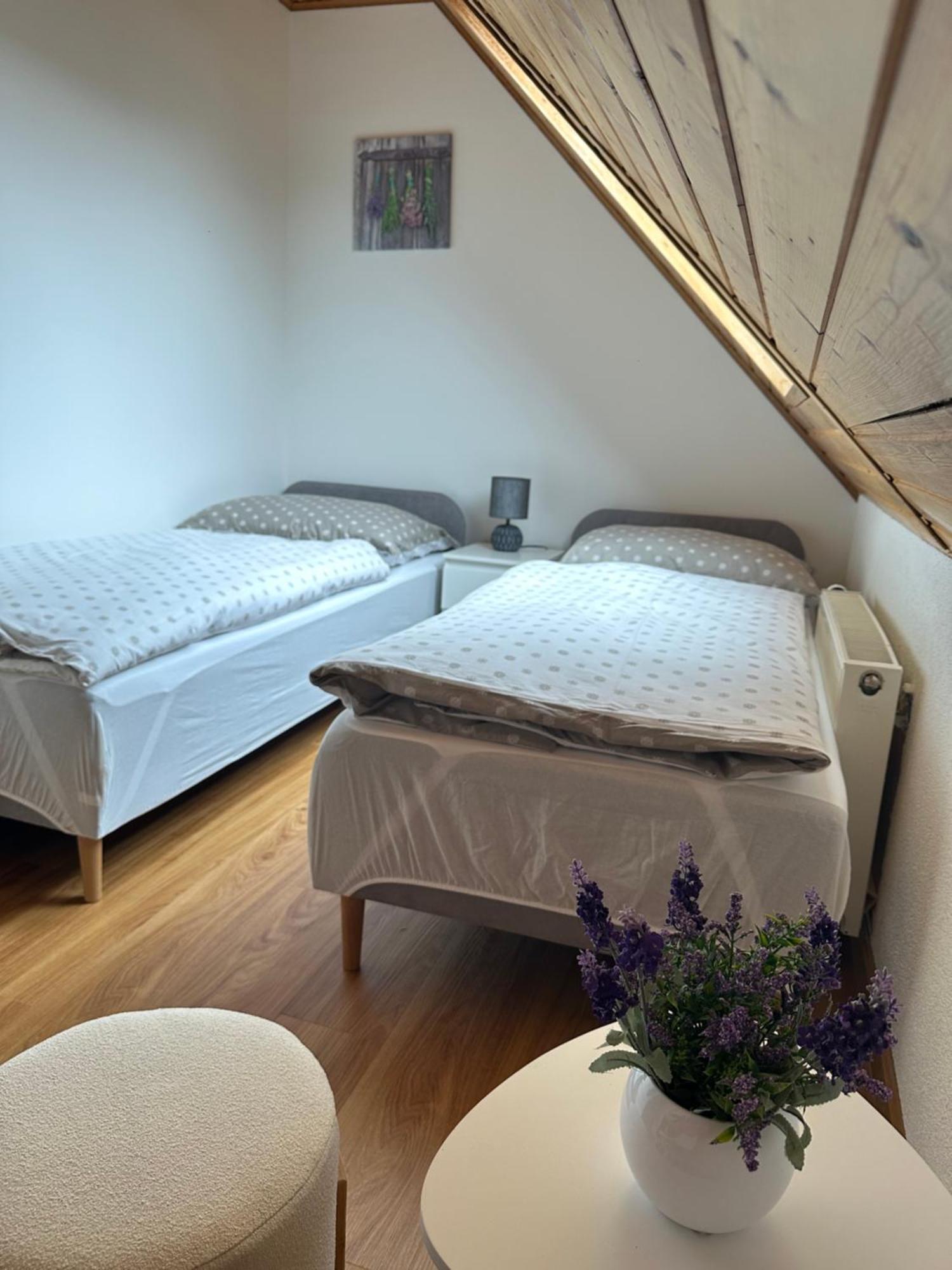 Apartman Jako U Babicky Tisá Екстериор снимка